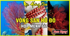 Vòng San Hô Đỏ: Công dụng, Hợp mệnh gì? Giá bao nhiêu?