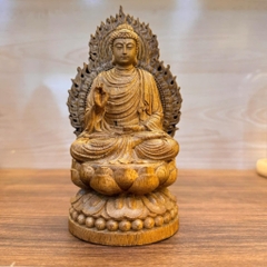 Tượng Gỗ Trầm Hương Phật Tổ Như Lai Để Xe
