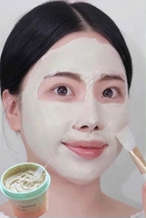 Mặt Nạ Đất Sét Băng Lạnh Thu Nhỏ Lỗ Chân Lông, Điều Tiết Dầu Thừa Aperire Spa Relief Be Frozen Pore Mask 120g