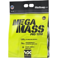 VX Mega Mass (6lbs)