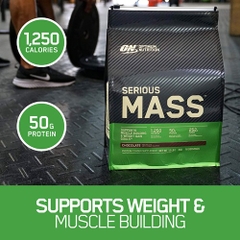 Serious Mass (5.5kg)