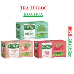 Trà túi lọc hoa quả Cozy 40gr (2gr x 20gói)