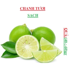 Chanh xanh sạch quả (40-:-60)gr