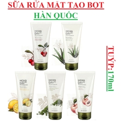 Sữa rửa mặt trộn tạo bọt The Face shop Herb day 365 Master blending  foarming cleanser