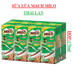 Sữa lúa mạch Milo thái lan Nestle hộp 170ml