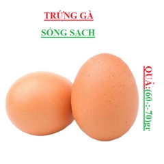 trứng gà sống sạch