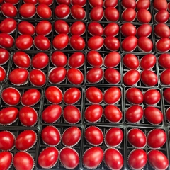 Trứng Gà Đỏ - Trứng Báo Hỷ