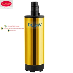 Máy bơm dầu DC 12v24v máy bơm diesel vi mô máy bơm pin máy bơm năng lượng mặt trời dầu và nước mục đích kép