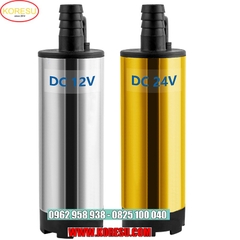 Máy bơm dầu DC 12v24v máy bơm diesel vi mô máy bơm pin máy bơm năng lượng mặt trời dầu và nước mục đích kép