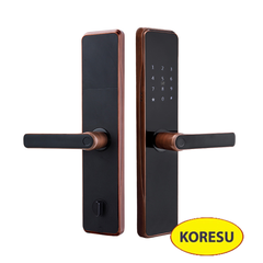 -Khóa Cửa Chống Trộm Hiện Đại Thông Minh Điều Khiển Từ Xa