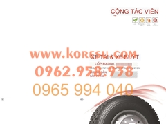 Bán lẻ , bán buôn , xuất hàng trực tiếp từ nhà máy , lốp xe container , xe tải , xe khách , xe ben , lốp không xăm/lốp có xăm