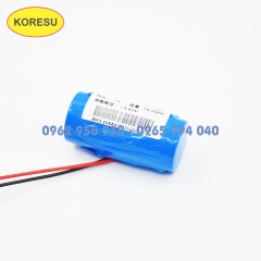 Pin 3.2V 50006000mah tích hợp tấm bảo vệ pin lithium sắt phốt phát (PN0016)