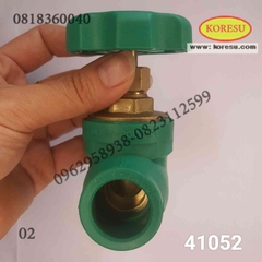 Van nhiệt cửa 25 kiểu 2 dismy, ppr