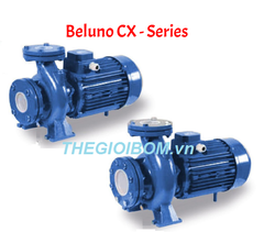 Máy bơm công nghiệp Beluno CX - Series