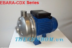 Máy bơm đầu inox Ebara CDX series