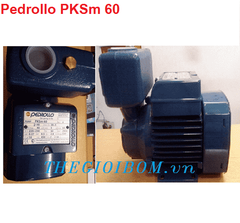 Máy bơm chân không Pedrollo PKSm-60