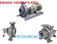 Máy bơm đầu rời Ebara-100/65-FS/KA