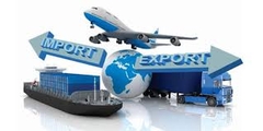 MUA HÀNG QUỐC TẾ và THƯƠNG MẠI ĐIỆN TỬ