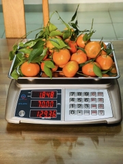 Giới thiệu cân điện tử tính tiền Đại Thành ĐTS 30 TG