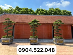 Mành Trúc Che Nắng