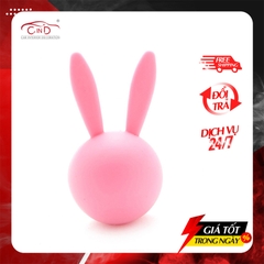 Combo 2 Sáp Thơm ghim Máy Lạnh CARMATE Sai Angel Rabbit Air 2P DSG121 Pink Berry 8g - Nhập Khẩu Chính Hãng