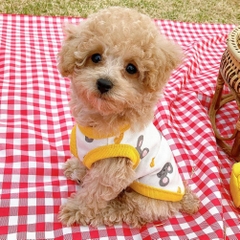 Áo ngắn tay in mặt chuột cho mèo và chó