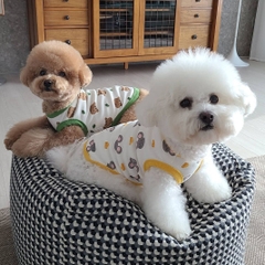 Áo ngắn tay in mặt chuột cho mèo và chó