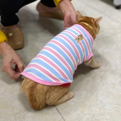 Áo ngắn tay sọc ngang đính gấu cho chó mèo