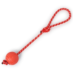 Bóng cao su dây cắn gặm huấn luyện chó