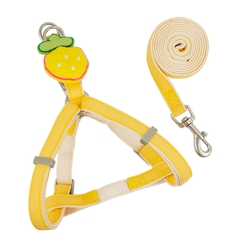 Dây dắt yếm đính dâu tây https://petshopvinh.vn/