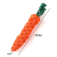 Đồ chơi cắn gặm dây thừng bện cà rốt https://petshopvinh.vn/