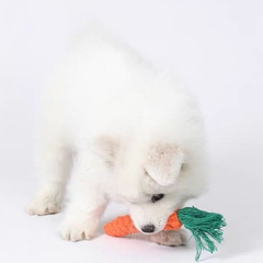 Đồ chơi cắn gặm dây thừng bện cà rốt https://petshopvinh.vn/