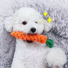 Đồ chơi cắn gặm dây thừng bện cà rốt https://petshopvinh.vn/