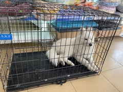 Lồng ghép sơn tĩnh điện cho chó loại 1