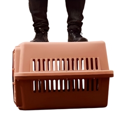 Lồng vận chuyển cho mèo ký gửi hàng không, ô tô https://petshopvinh.vn/