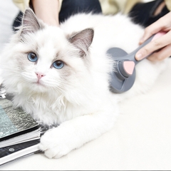 Lược chải đẩy lông cao cấp Pakeway https://petshopvinh.vn/