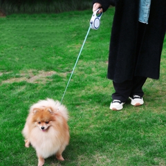 Dây dắt tự động cuốn cao cấp cho chó