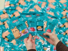 Thức ăn ướt pate Kucinta Tuna with Anchovy in jelly cá ngừ cá cơm 80g https://petshopvinh.vn/;
