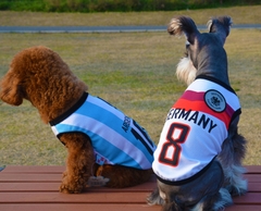 Áo cầu thủ bóng đá tuyển Argentina cho chó