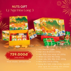 Hộp quà Nuts Gift - Lý Ngư Hóa Long 6 Vị Hạt dinh dưỡng và rượu vang BIN 585