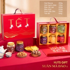 Xuân Mã Đáo 01 - Hộp quà Tết hạt dinh dưỡng NutsGift 6 Hạt và Trái Cây