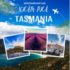 [TOUR ÚC 6N5D 2024 ]  TASMANIA,LAUNCESTON,HOBART,MÙA HOA LAVENDER,BAY VN