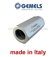 Van một chiều VU Gemels Italy