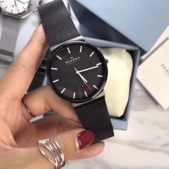 ĐỒNG HỒ NAM SKAGEN SKW6053