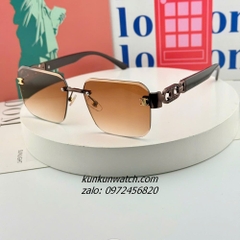 Kính Mát Nữ Celine 202468 Fom Vuông Gọng Nhựa Chống Tia UV