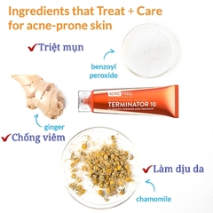 Kem trị mụn bọc , mụn đầu đen , mụn thâm Terminator 10 AcneFree Acne & Blackhead