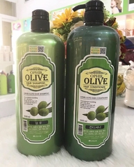 Dầu gội xã Olive 1500ML