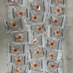 Gắp tắm Jary 918