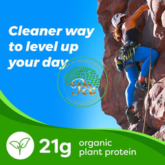 Protein uống from usa