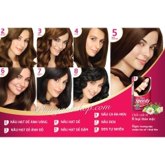 Nhuộm Bigen Speedy